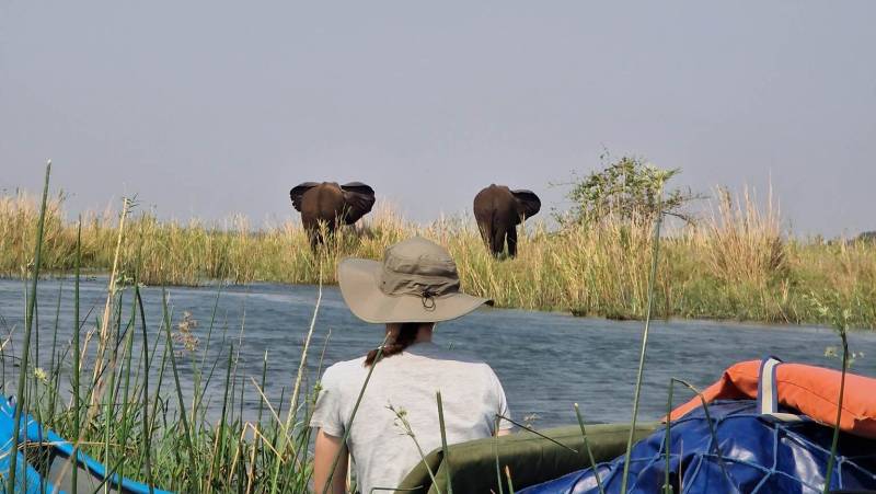 Zambezi Canoe Safari