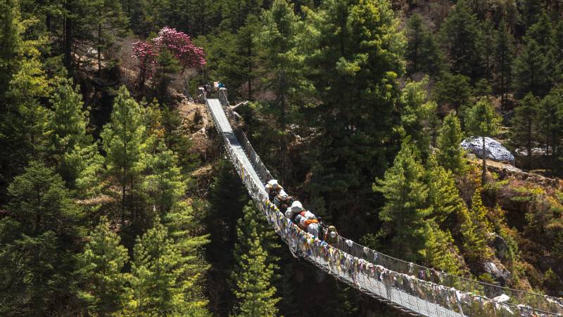 Everest Treks in Comfort