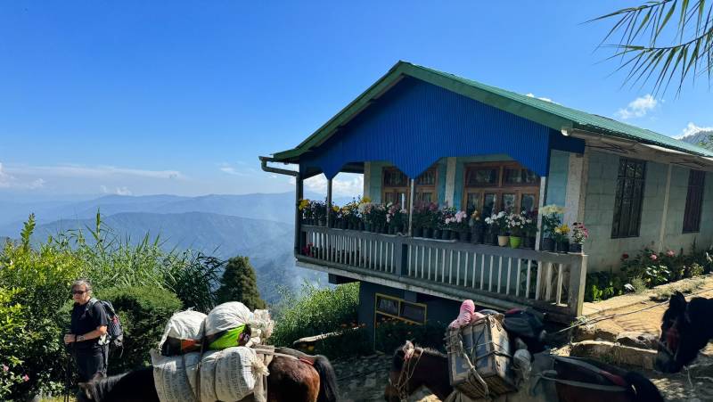 Trek Darjeeling, Sikkim & the Singalila Ridge