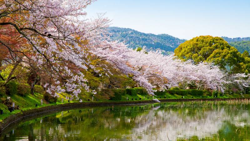 Ancient & Modern Japan