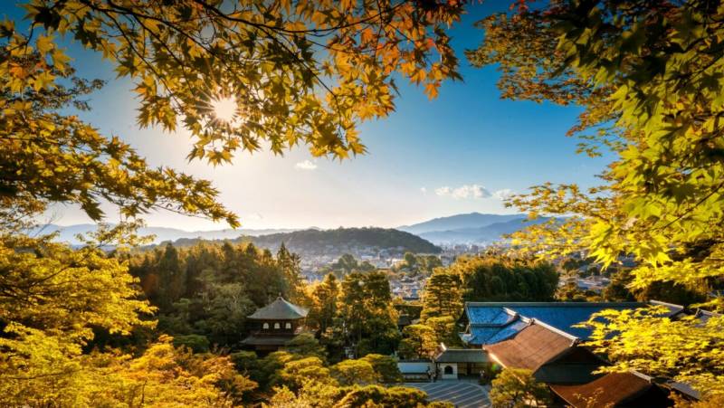 Ancient & Modern Japan