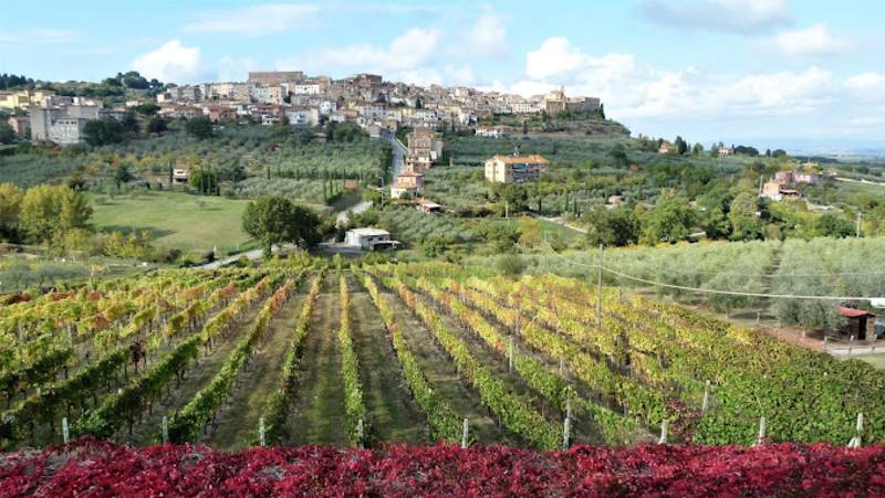 Agriturismo la Pietriccia