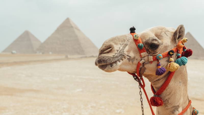 Egypt: Alexandria to Aswan