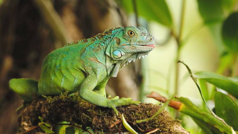 Costa Rica’s Coastal Secrets