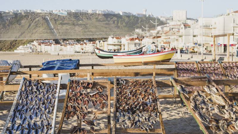 Porto to Lisbon Atlantic Ride