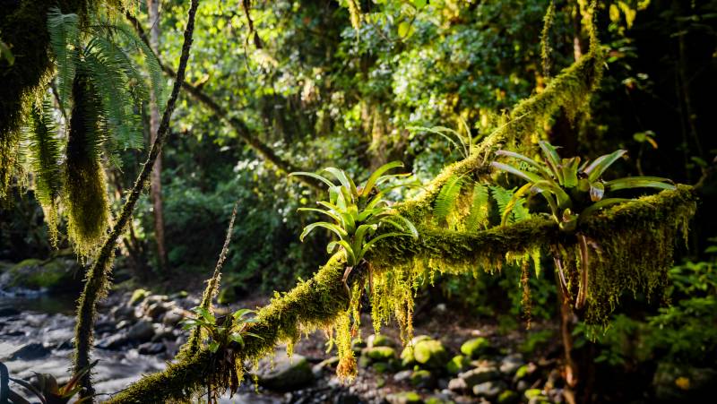 Costa Rica’s Coastal Secrets