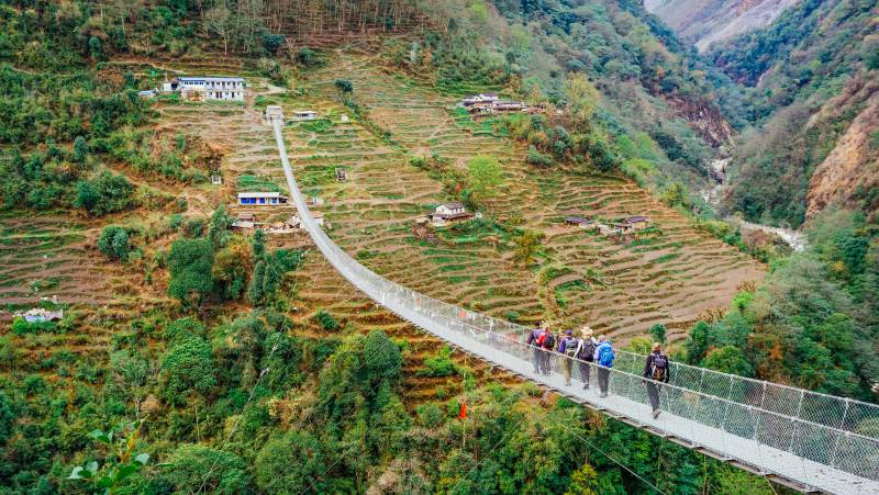 Annapurna to Chitwan: Walks & Wildlife