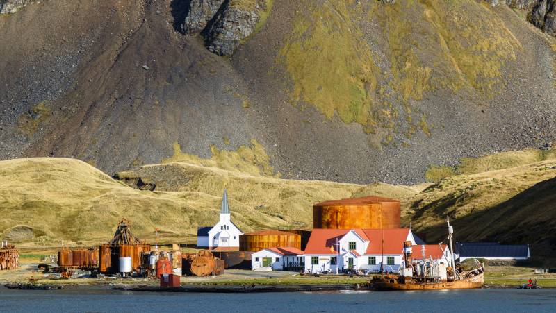 South Georgia and Antarctic Peninsula: Penguin Safari
