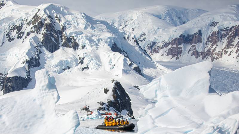 South Georgia and Antarctic Peninsula: Penguin Safari