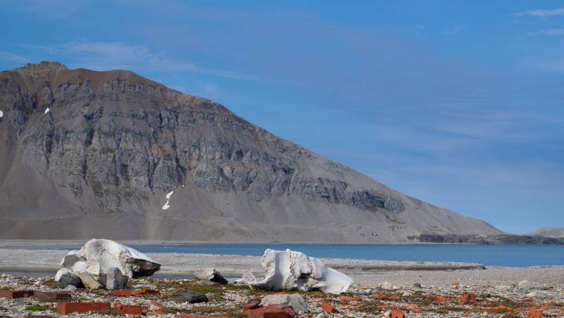 Arctic Saga: Spitsbergen, Faroes & Jan Mayen