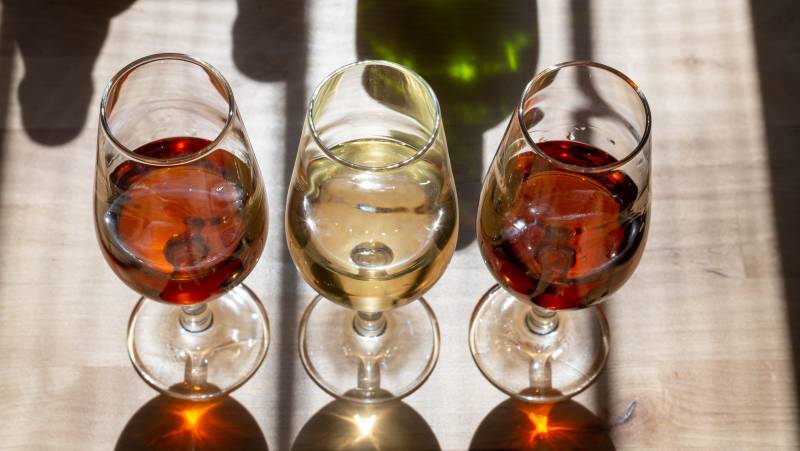 Sherry wine tasting Andalusia, Spain