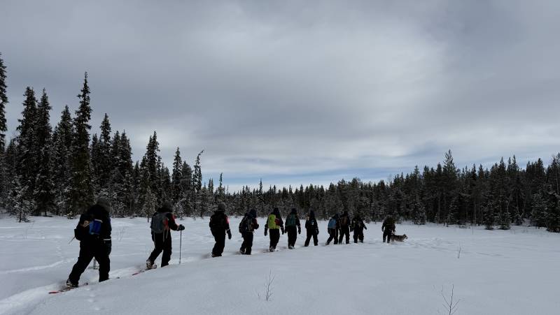 Swedish Lapland Winter Adventure