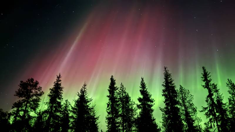 Swedish Lapland Winter Adventure