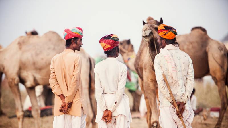 Colours of Rajasthan – Pushkar Festival