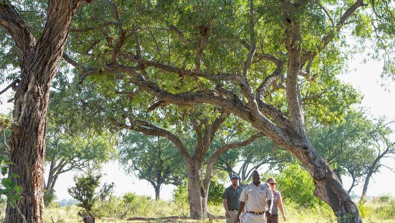 Botswana & Namibia: Delta & Dunes