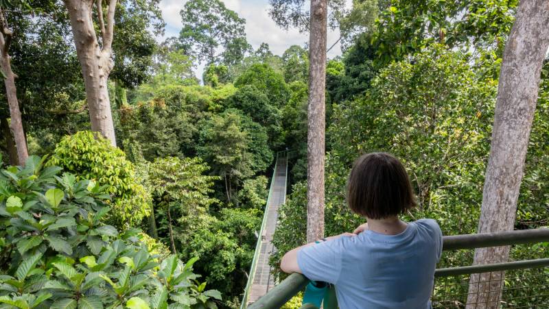 Borneo Family Wildlife Adventure