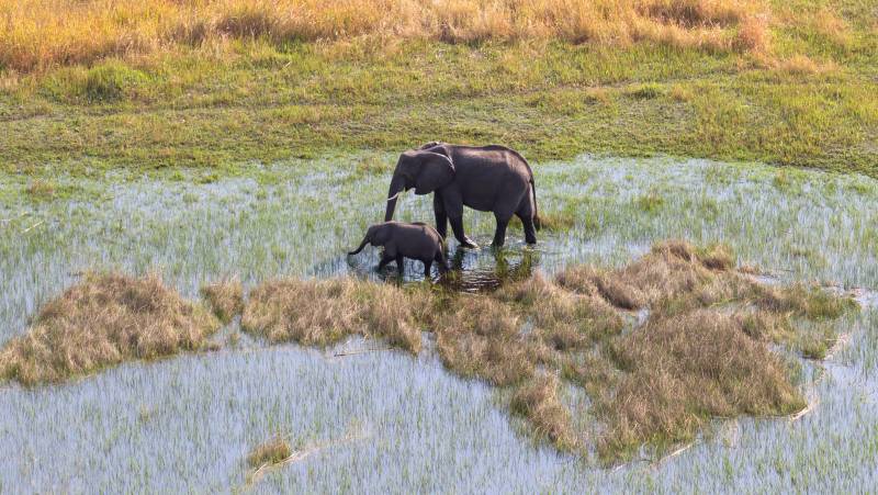 Botswana & Namibia: Delta & Dunes