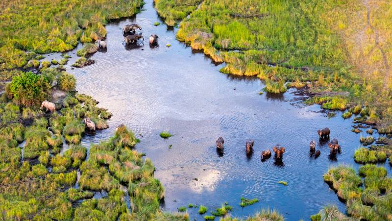 Botswana & Namibia: Delta & Dunes