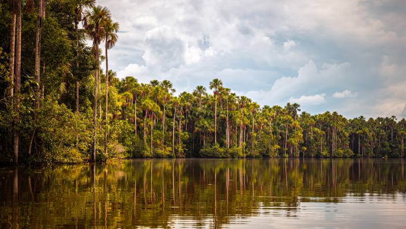 Amazon Rainforest Add-on (post-tour, from Lima)