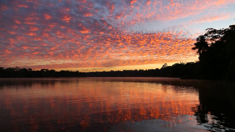 Inca Trail & the Amazon Rainforest