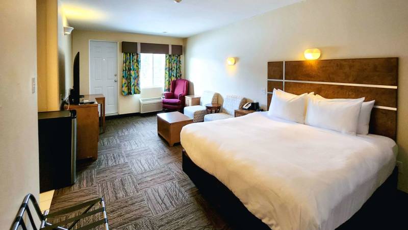 Discover the Canadian Rockies