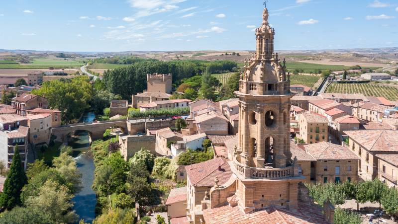 Vineyards of La Rioja Cycling