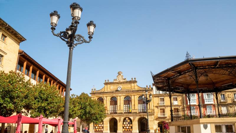 Vineyards of La Rioja Cycling