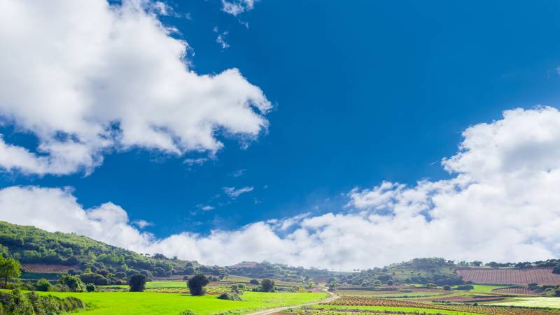 Vineyards of La Rioja Cycling