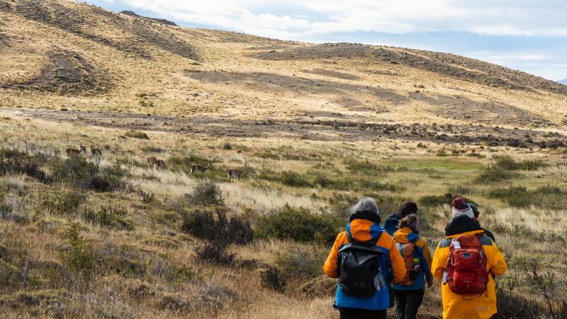 Essential Patagonia: Fjords & Torres del Paine