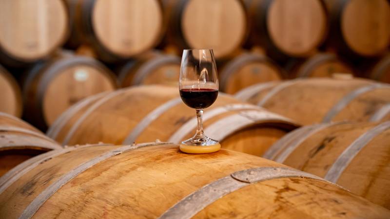 Vineyards of La Rioja Cycling