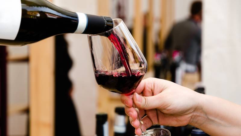 Wine tasting in Alba