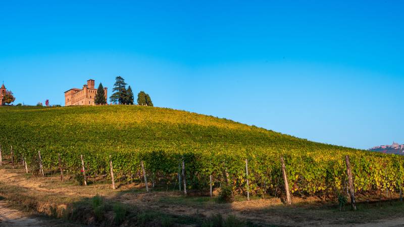 The castle of Grinzane Cavour