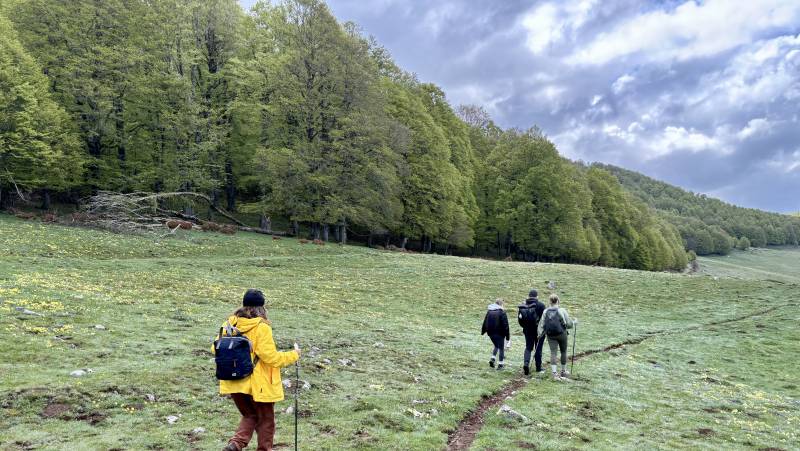 Italian Apennines: Walks & Wildlife