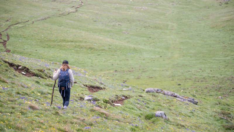 Italian Apennines: Walks & Wildlife