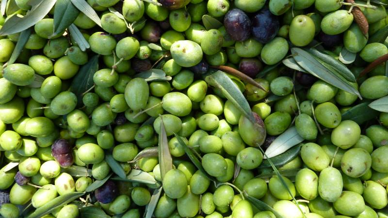 The Amalfi Coast Walk