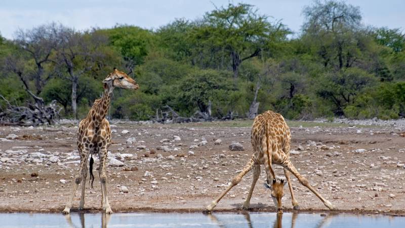 Victoria Falls to Cape Town – Camping