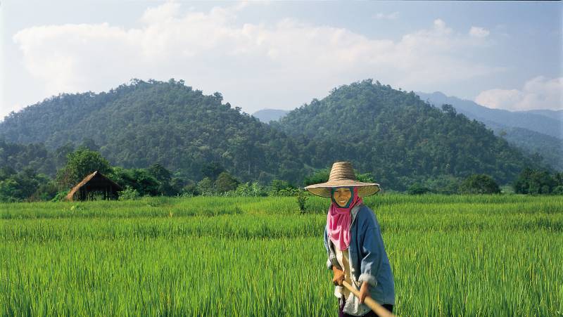 Southeast Asia Family Adventure