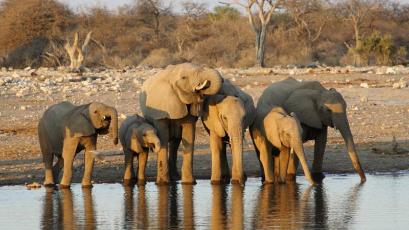 Victoria Falls to Cape Town – Camping