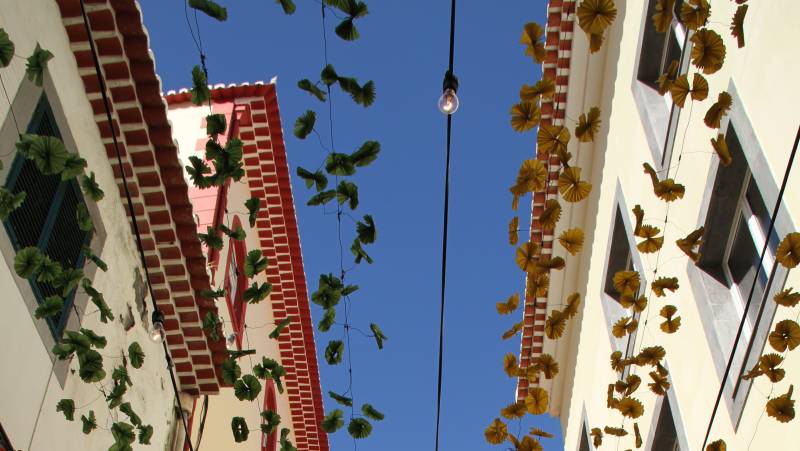 Marvels of Madeira Walk