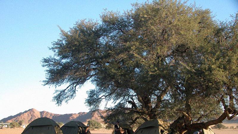 Namibian Family Adventurer