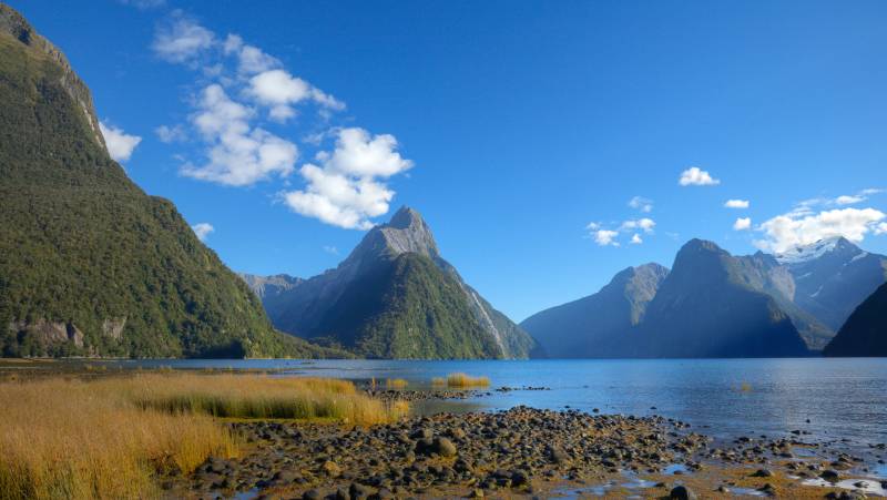 Discover New Zealand