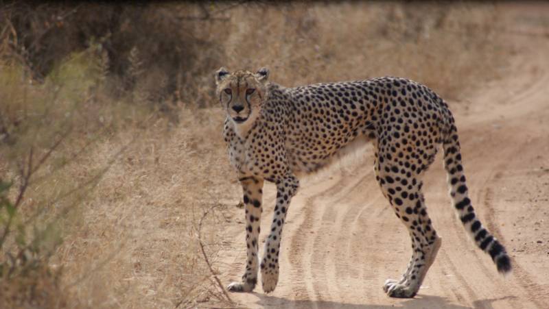 Namibian Family Adventurer