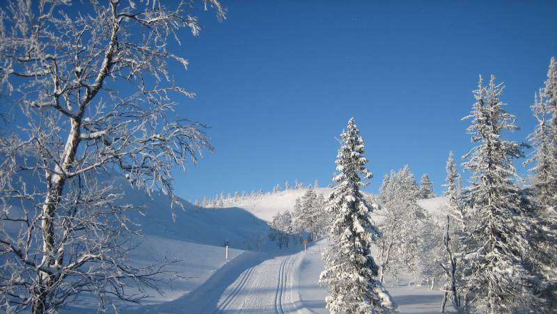 Cross-Country Skiing in Lapland