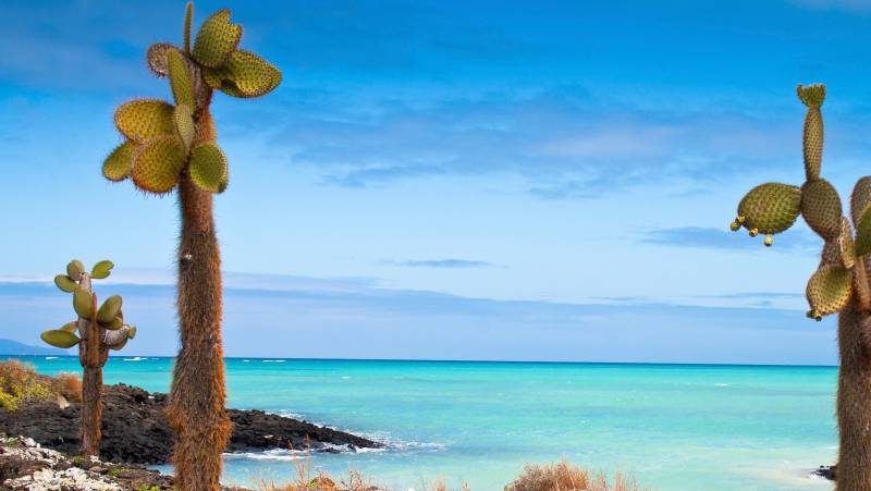 Island Hopping in the Galapagos