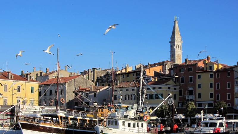 Coastal Croatia: Porec to Pula Cycling