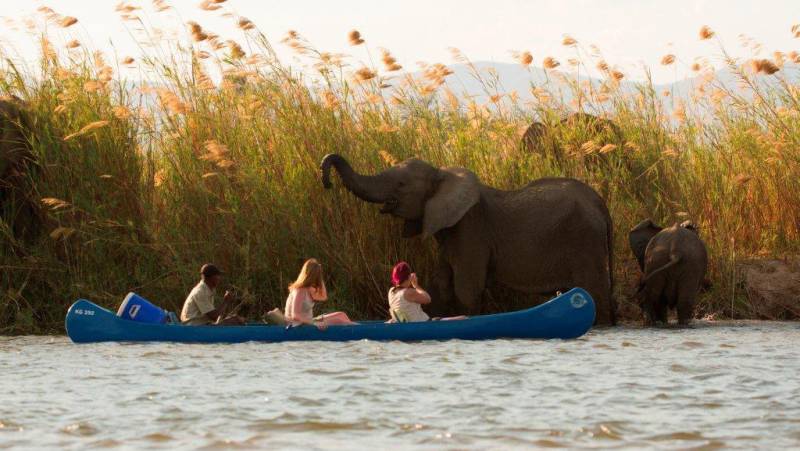 Zambezi Canoe Safari