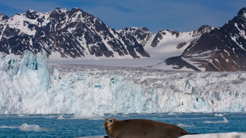 Spitsbergen Circumnavigation: A Rite of Passage