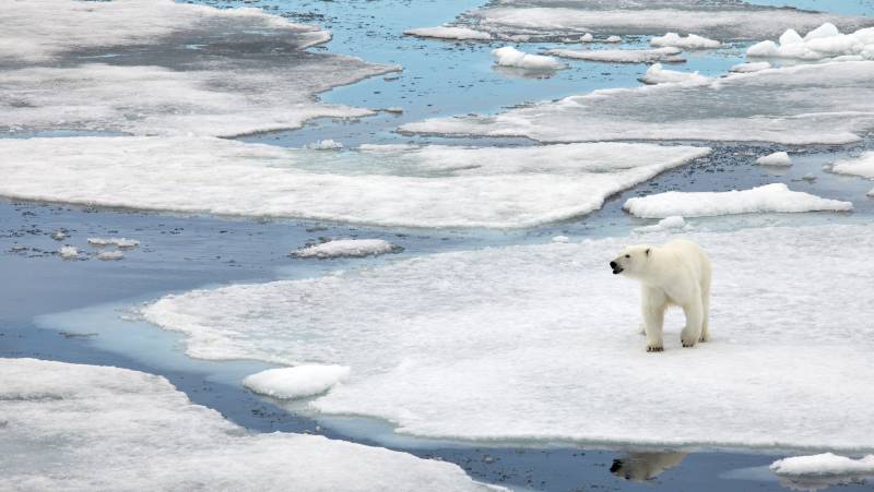 Svalbard Explorer: Best of High Arctic Norway