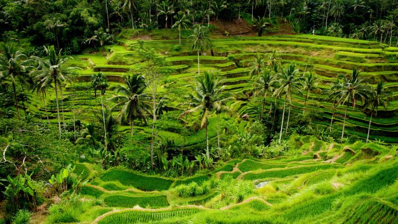 Cycling Indonesia’s Islands