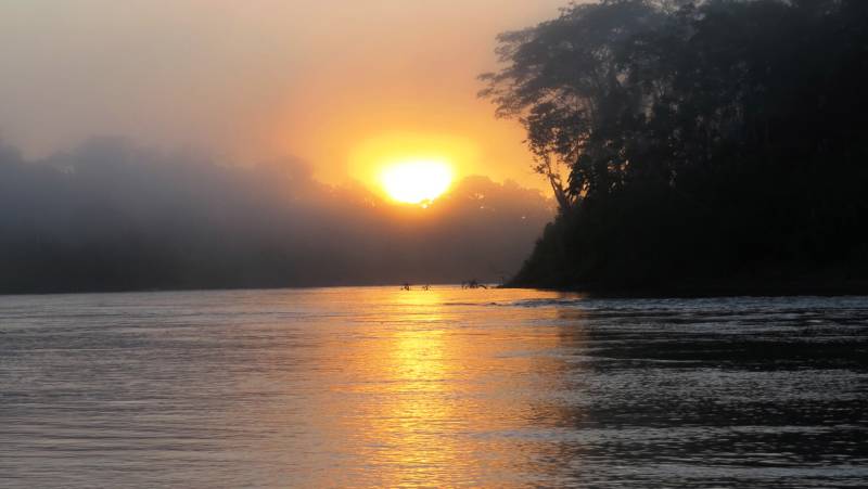 Amazon Rainforest Add-on (post-tour, from Lima)